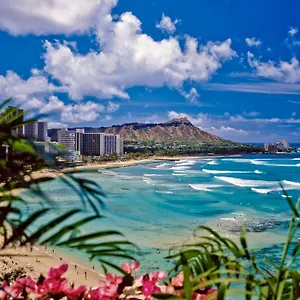 Ocean View Escape, Steps To & Free Parking! Apartment