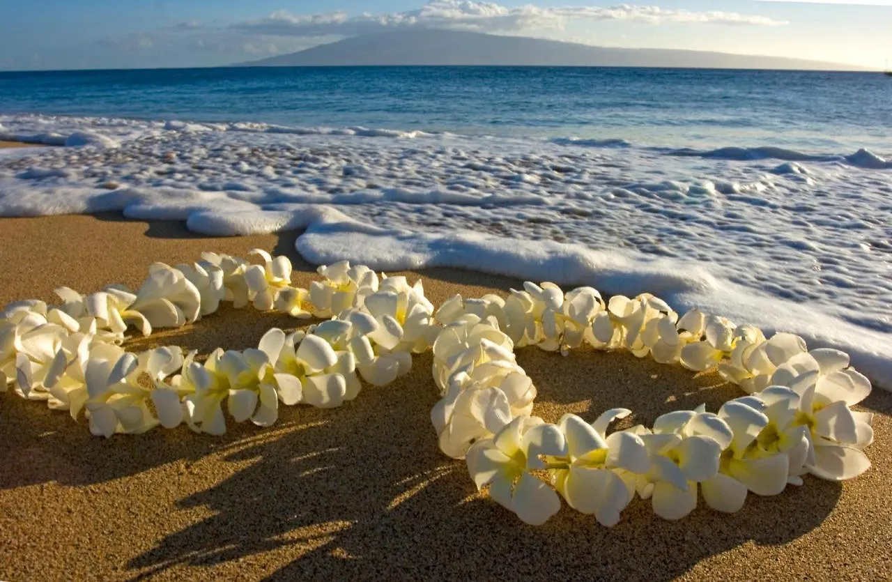 Mountain View Getaway, Free Parking And Beach Steps Away Honolulu United States