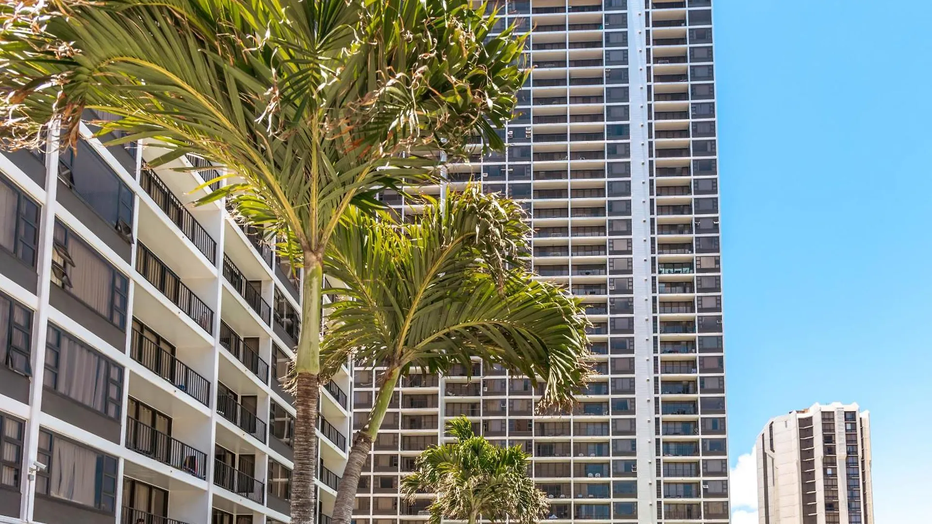Mountain View Getaway, Free Parking And Beach Steps Away Honolulu Apartment